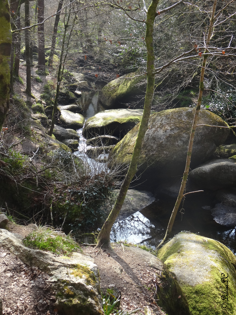 Croiser la Rivière d'Argent