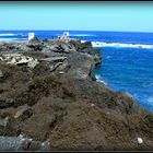 CROISIERE- 2007 - Escale à l'île de TENERIFE