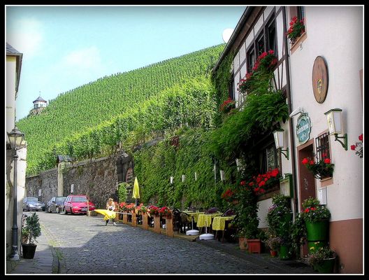 Croisière..............