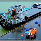 Croisière - Asie Sud Est - 112  - Vietnam .