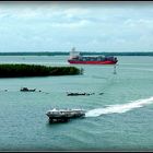 Croisière - Asie Sud Est - 136 - Vietnam .