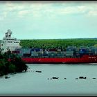 Croisière - Asie Sud Est - 142 - Vietnam .