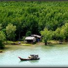 Croisière - Asie Sud Est - 146 -Vietnam .