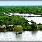 Croisière - Asie Sud Est - 148 -  -Vietnam . - UJUC - 