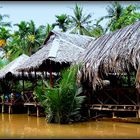 Croisière - Asie Sud Est - 209  Vietnam .