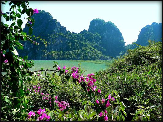 Croisière - Asie Sud Est - 4 -