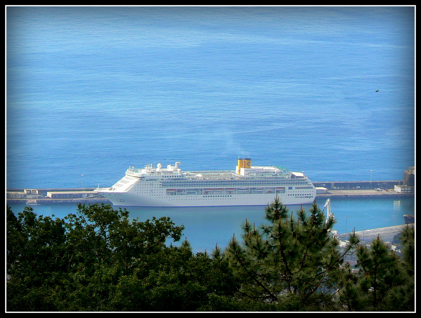 CROISIERE - Escale à Madère .