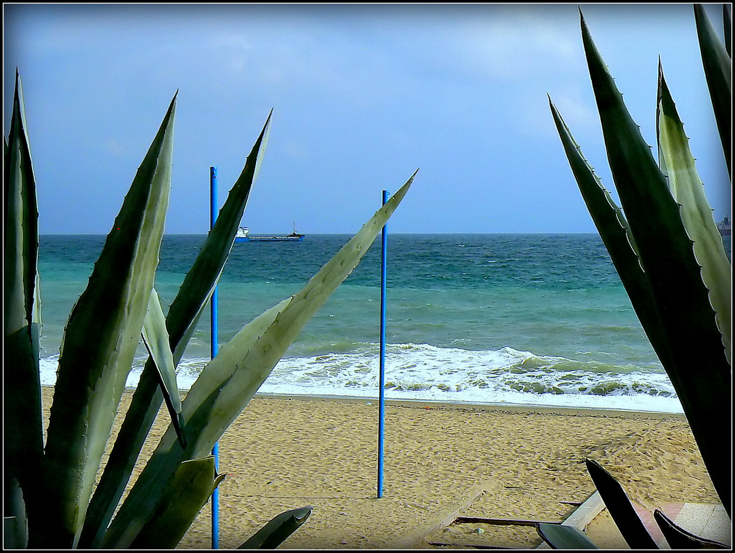 CROISIERE . MAROC . MADERE . CANARIES 