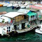 CROISIERE . MAROC . MADERE . CANARIES . 