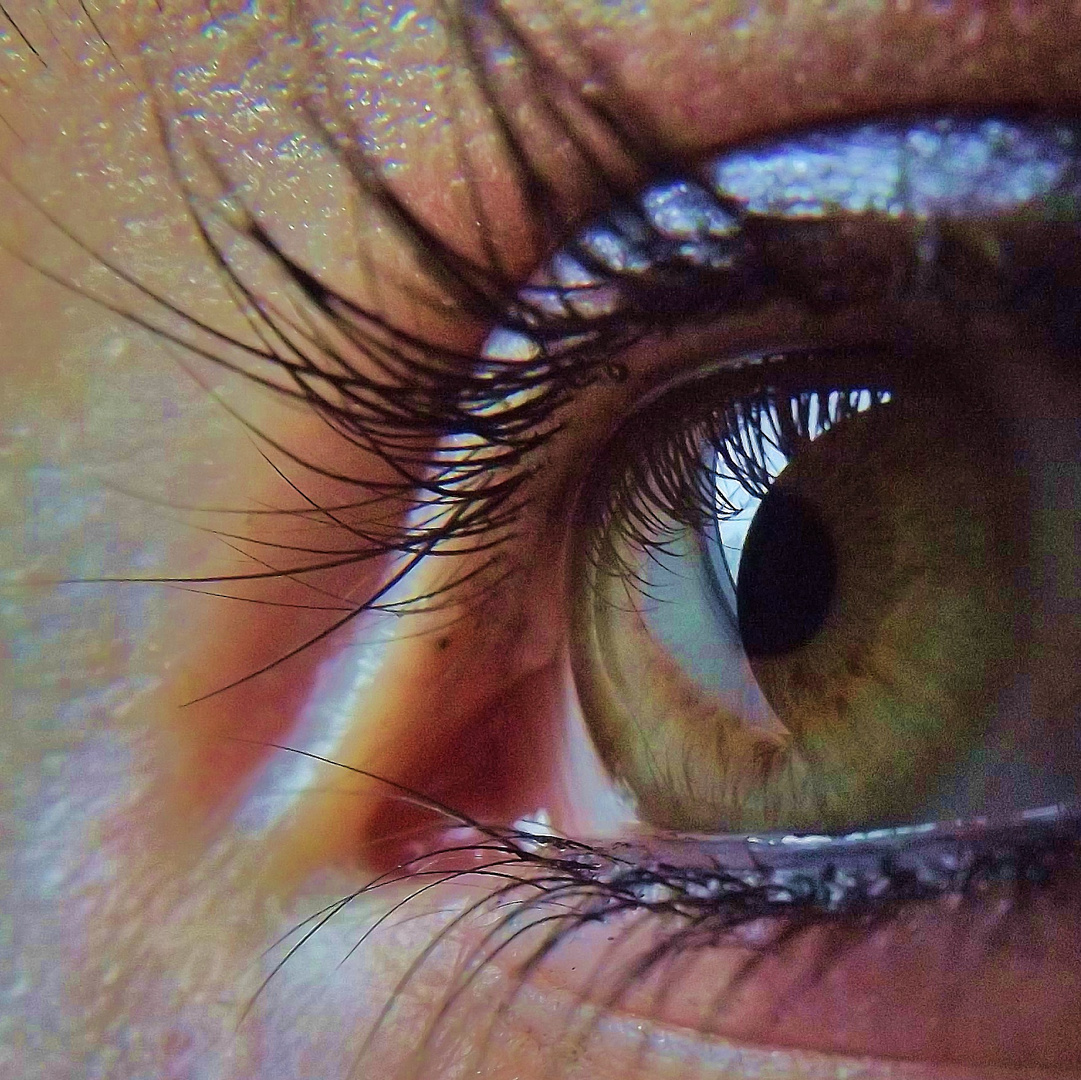 Croissant de Lune dans un regard...