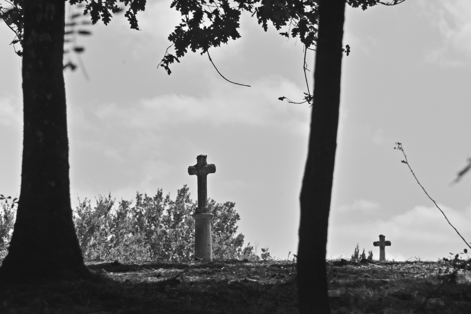 Croix de bois, croix de....