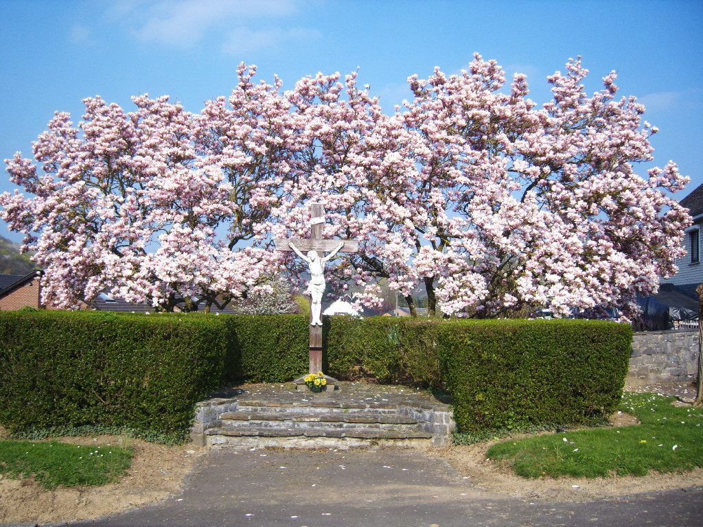 Croix Fleurie