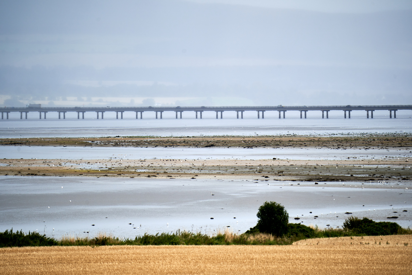 Cromarty Bridge 