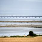 Cromarty Bridge 