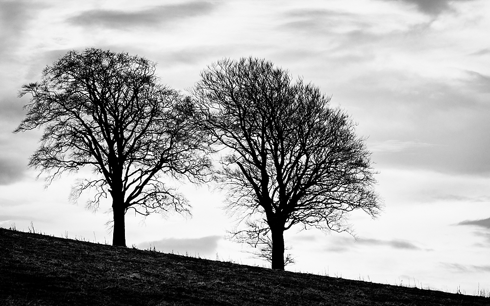 Cromarty Triptychon I