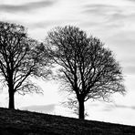 Cromarty Triptychon I