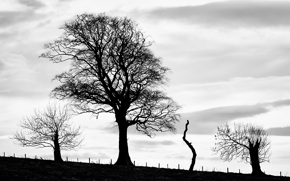 Cromarty Triptychon II