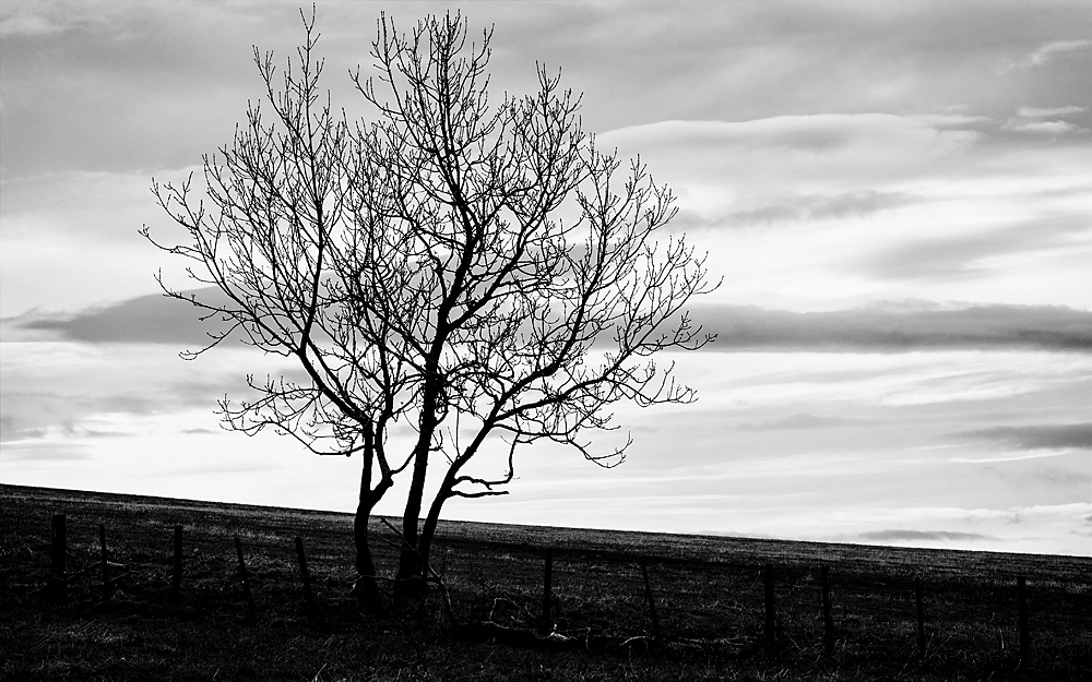 Cromarty Triptychon III