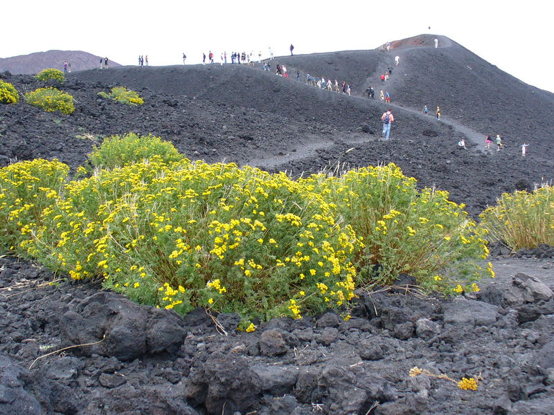 cromatismi dell'Etna