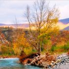 Cromie autunnali - fiume Trebbia