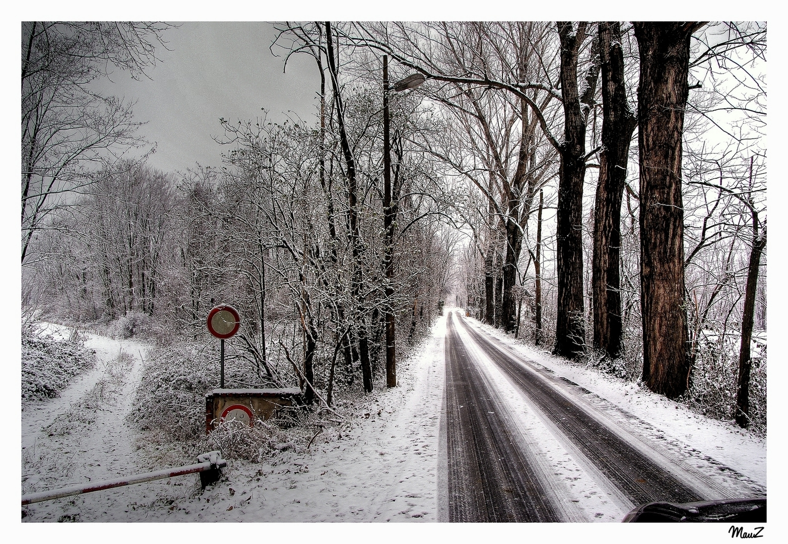 .. Cronaca di una nevicata annunciata (e che non c'è stata)...