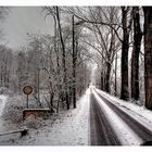 .. Cronaca di una nevicata annunciata (e che non c'è stata)...