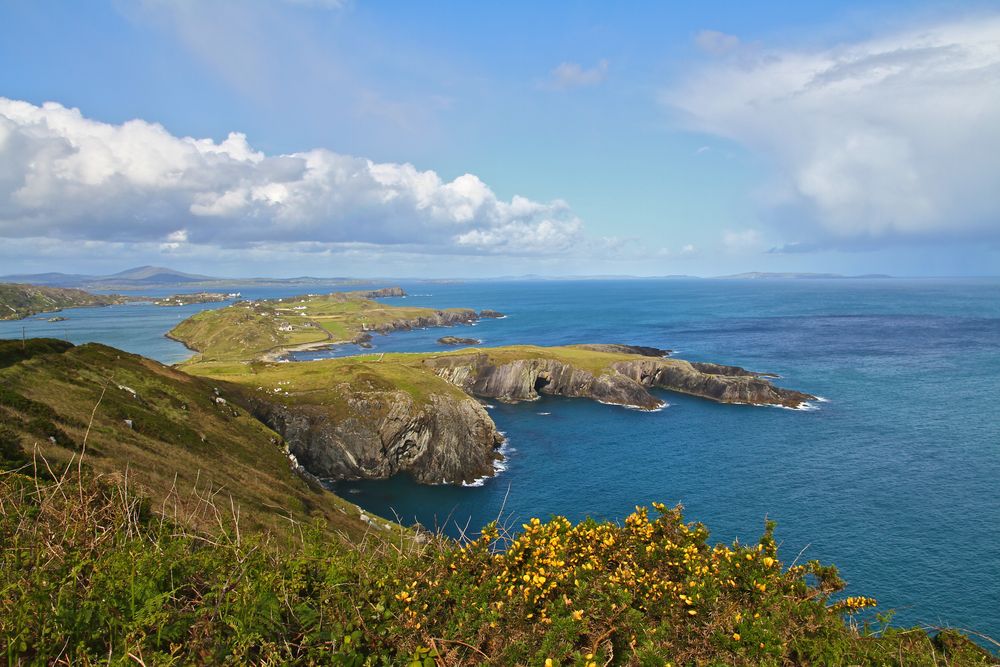 Crookhaven Brow Head