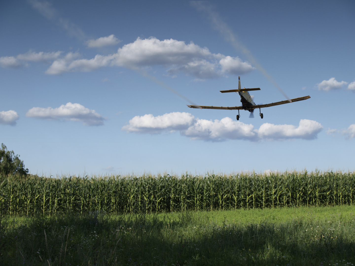 Crop dusting