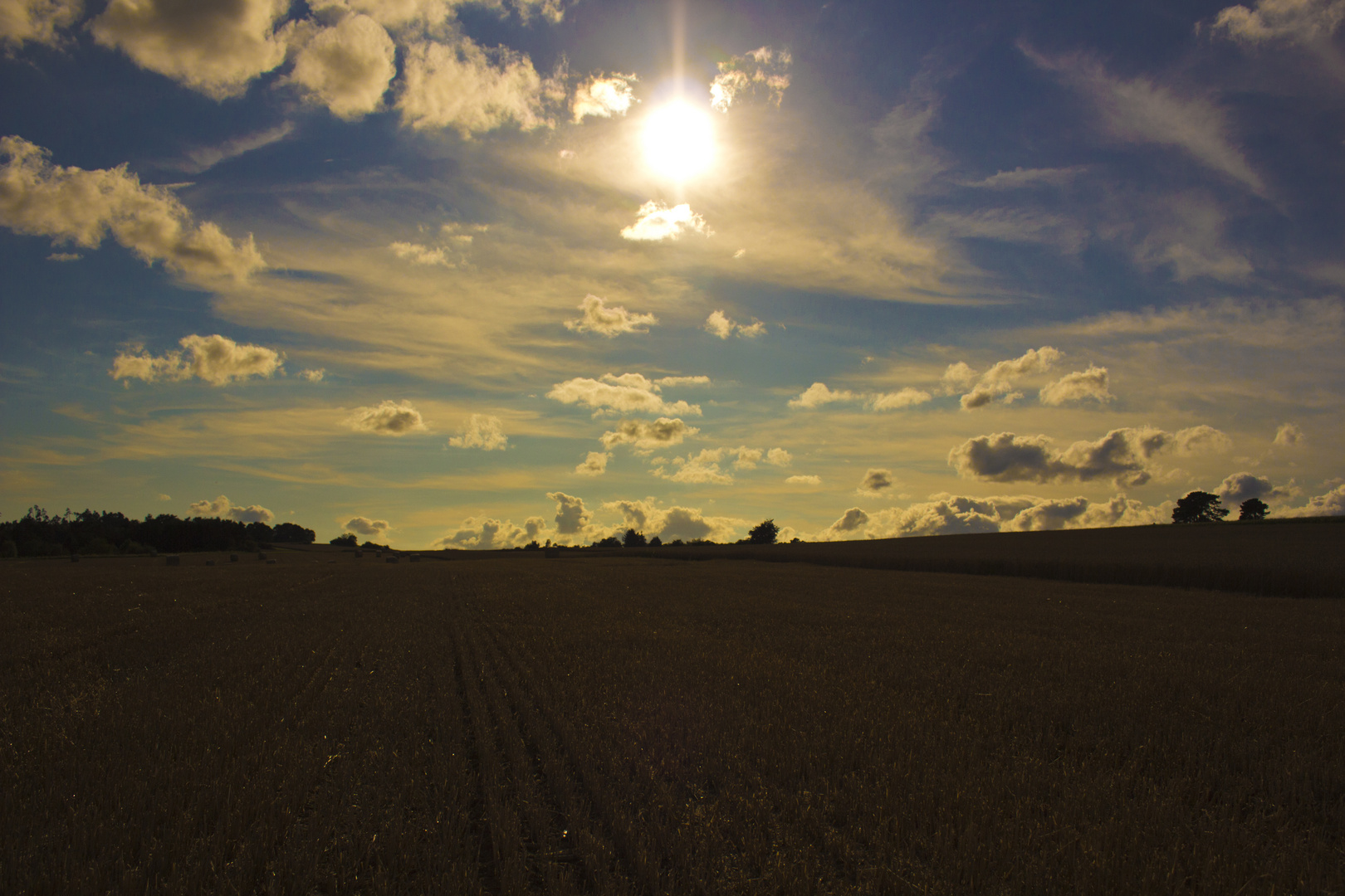 Crop field