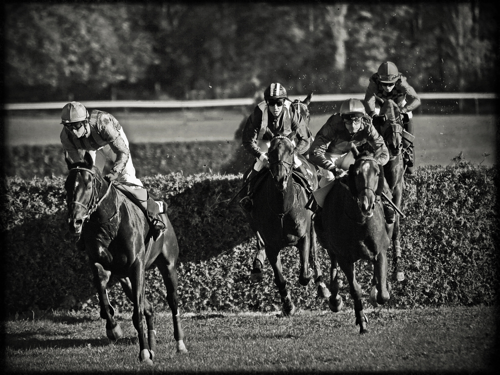 Cross Country