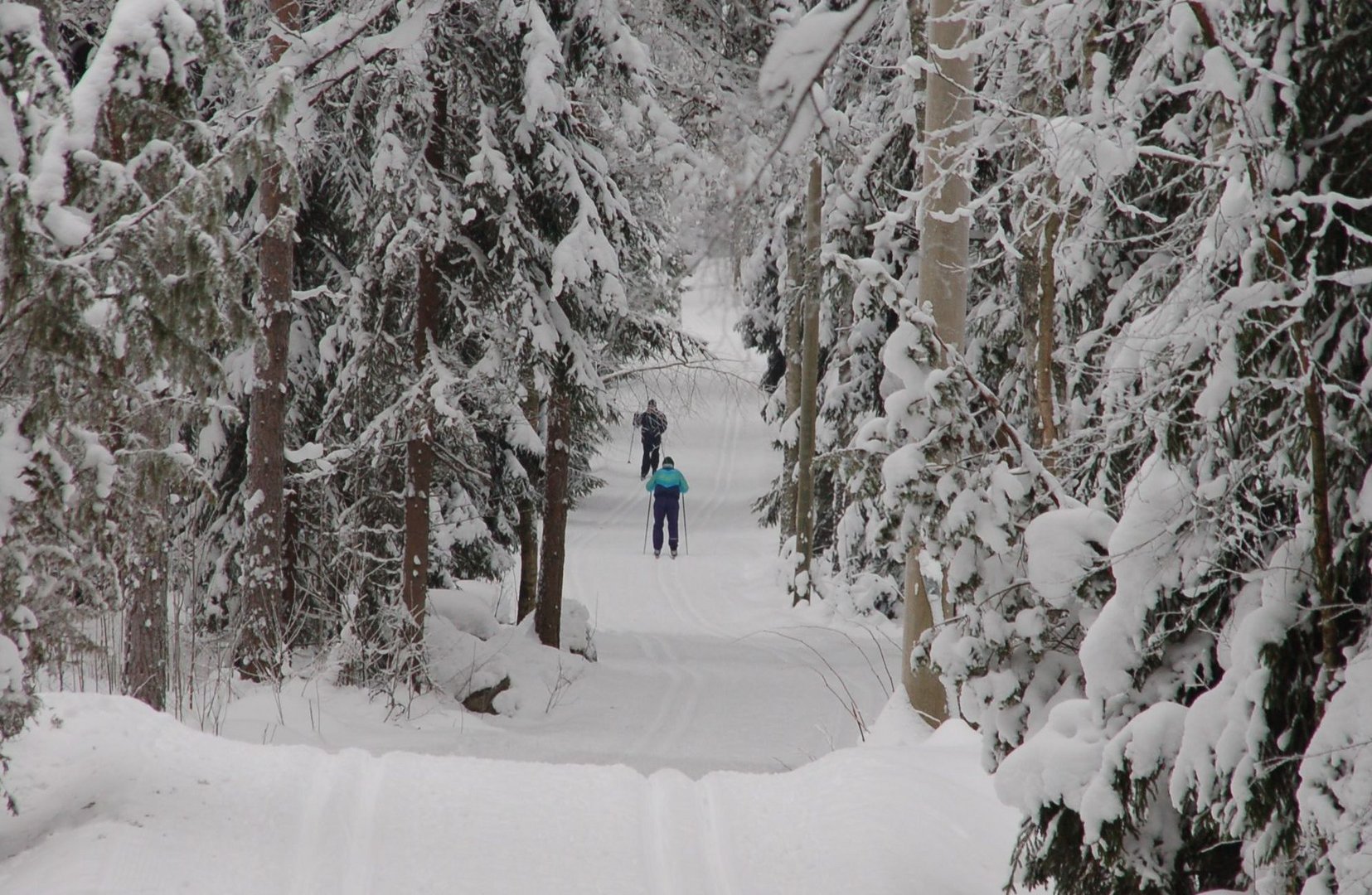 Cross-country skiers nier Helsinki