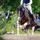 Cross Derby Challenge-CDC Holzgerlingen