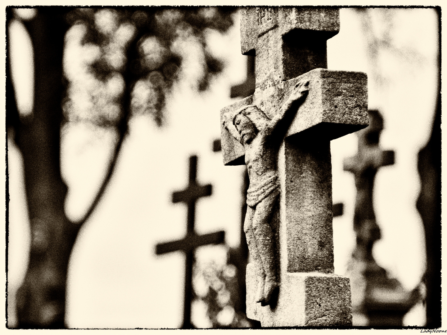 Crosses 1