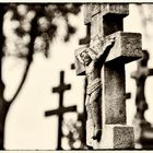 Crosses 1