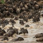 Crossing am Mara River.