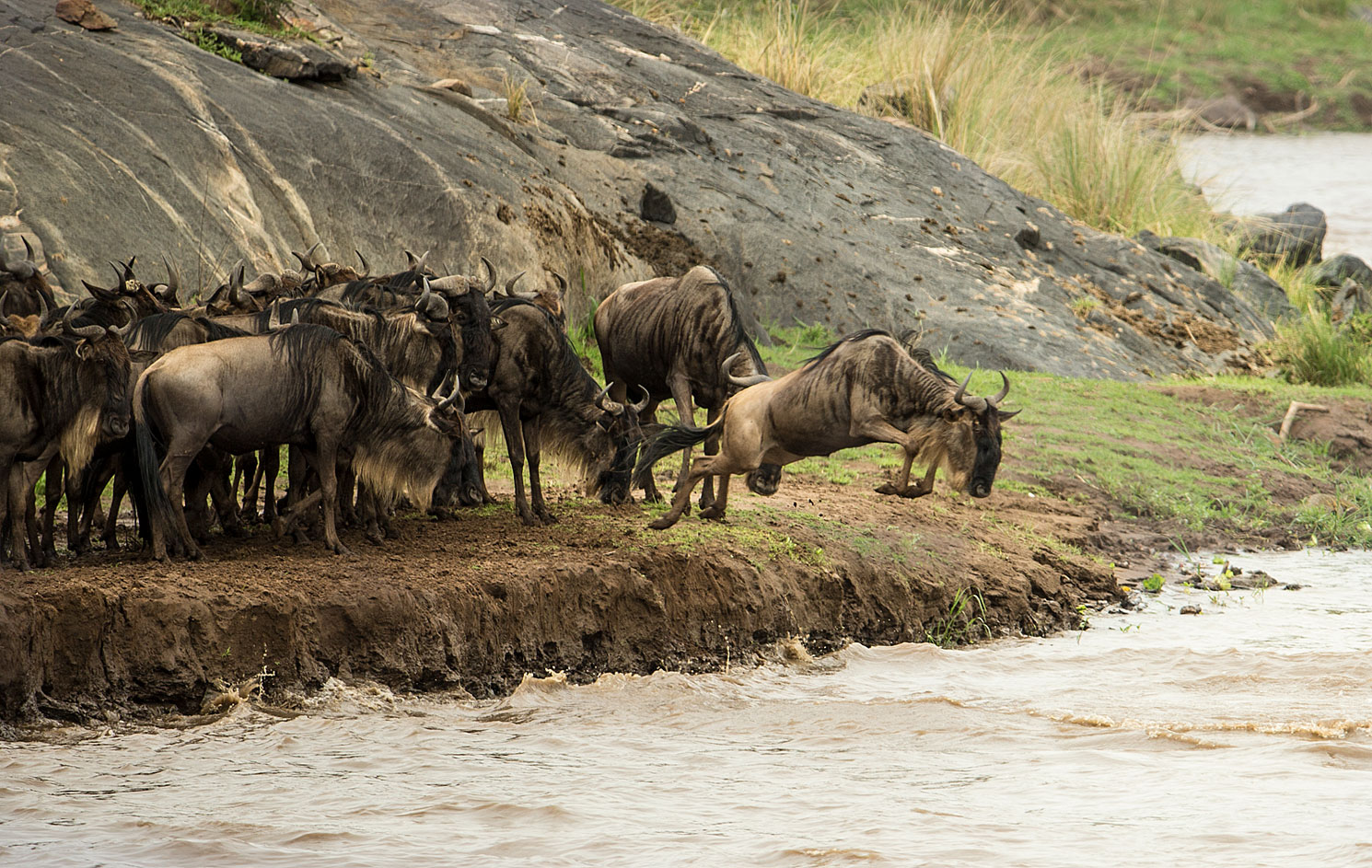 Crossing am Mara River