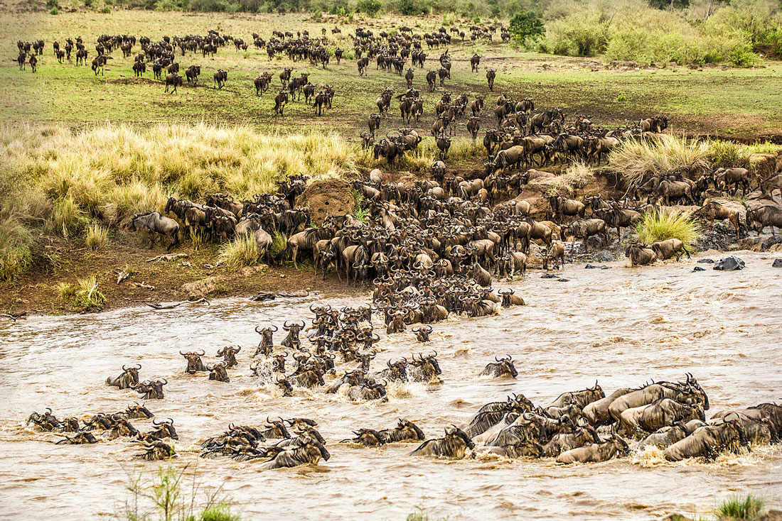 Crossing am Mara River