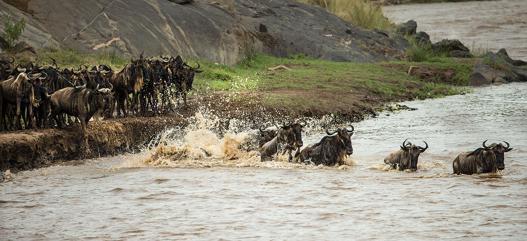 Crossing am Mara River