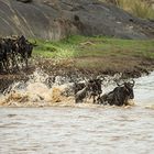 Crossing am Mara River