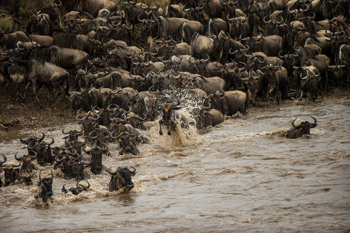 Crossing am Marariver