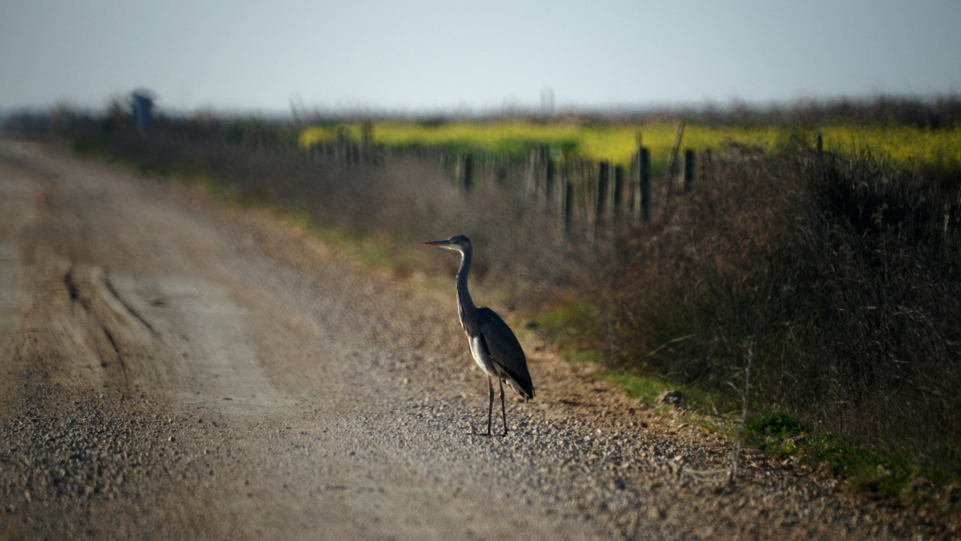 Crossing