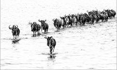 Crossing Lake Masek