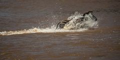 Crossing Mara River