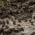 Crossing Mara River