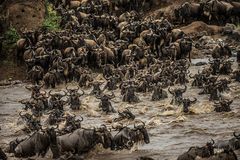 Crossing Mara River