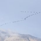 crossing of the Alps