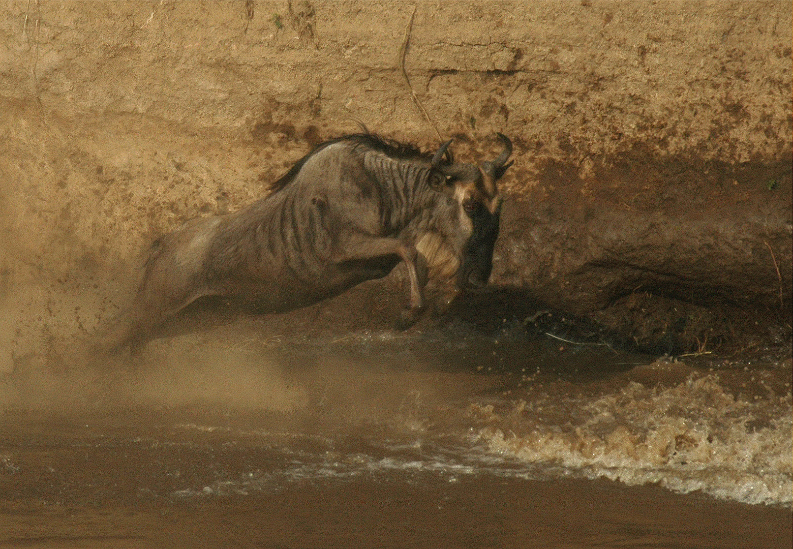 Crossing the River