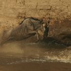 Crossing the River