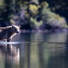 Crossing the Water