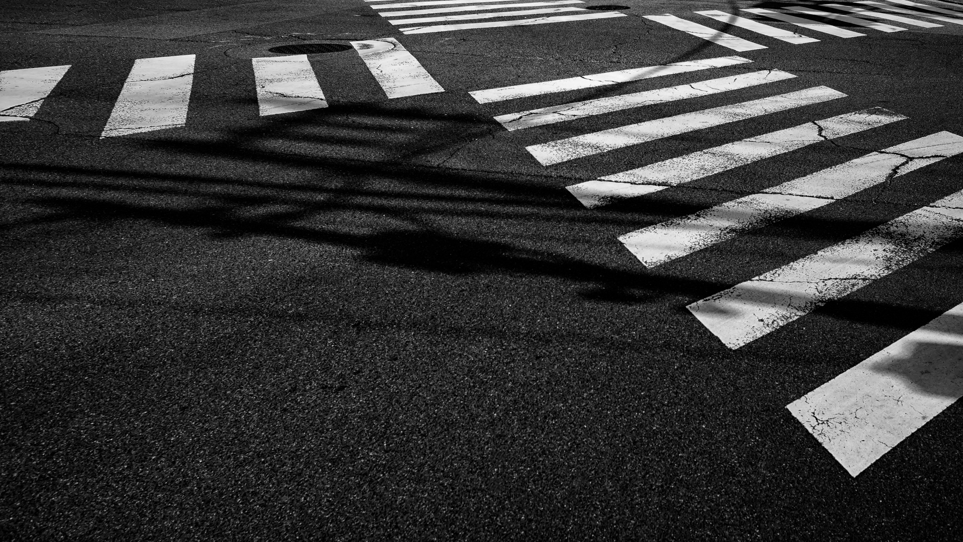 crossing.japan